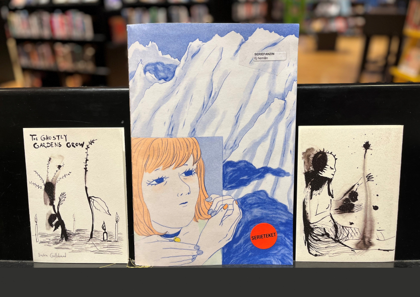 Tre fanzines på en hylla: två mindre svartvita med illustrationer av växter och figurer, och en större med ett blåtonat bergslandskap och en kvinna med orange hår.