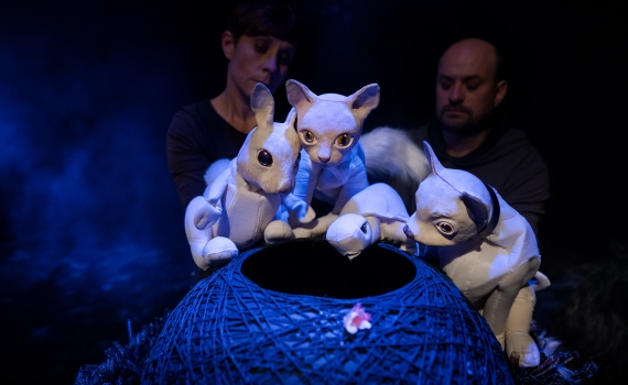 Flera djurdockor tillsammans. 