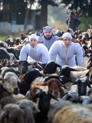 Tre artsiter utklädda till får mitt en flock getter